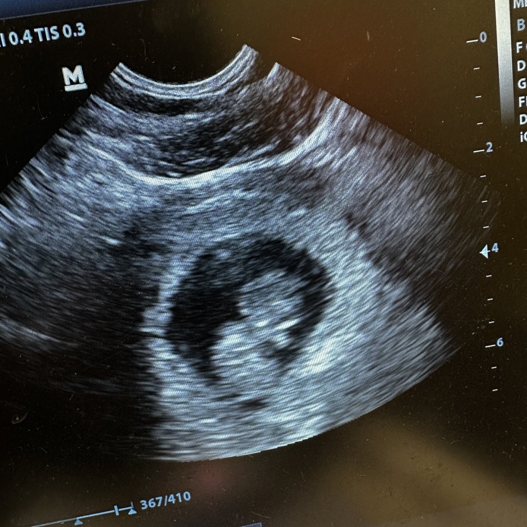 Photo shared by Gabriela for their Babylist baby registry.