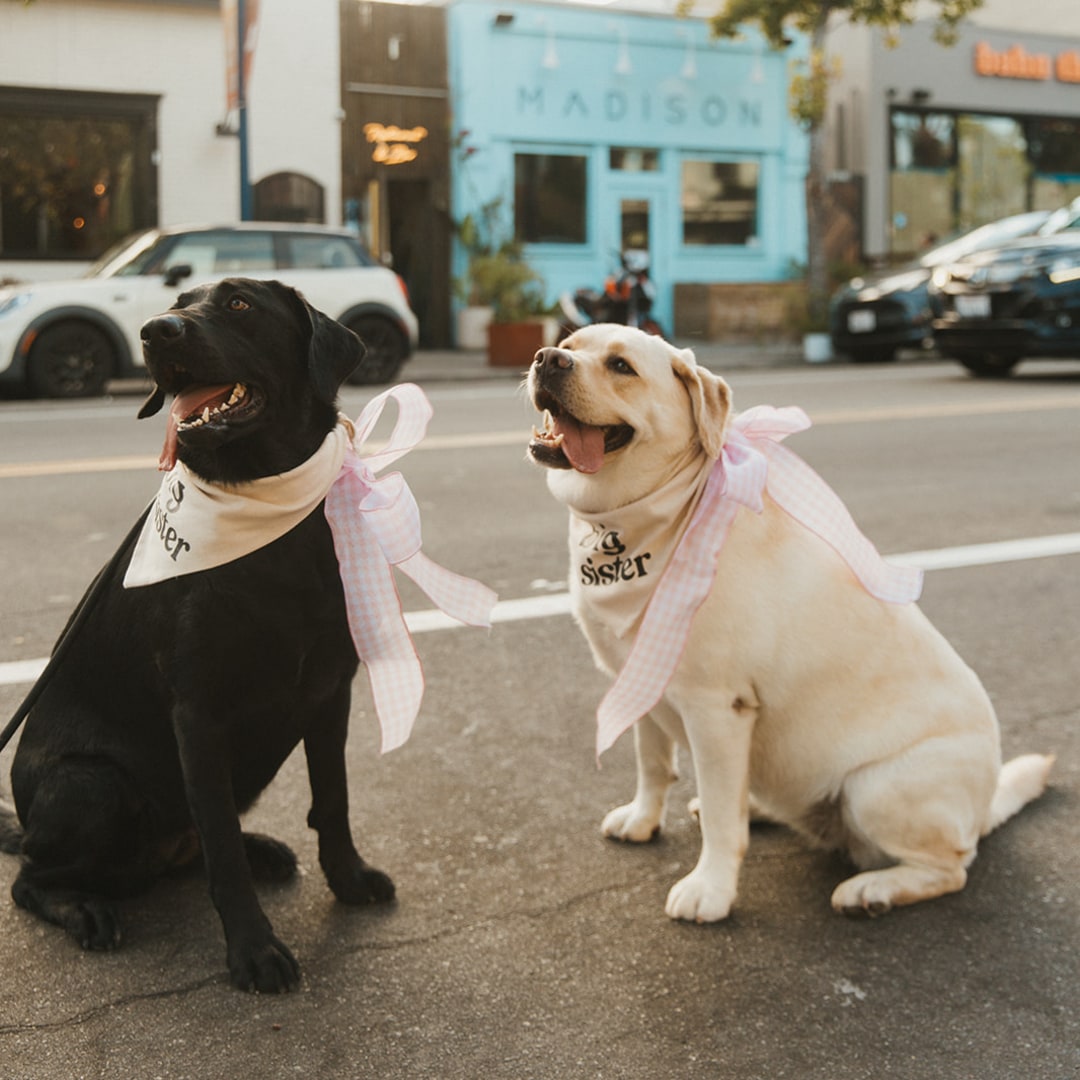Photo shared by Cierra for their Babylist baby registry.