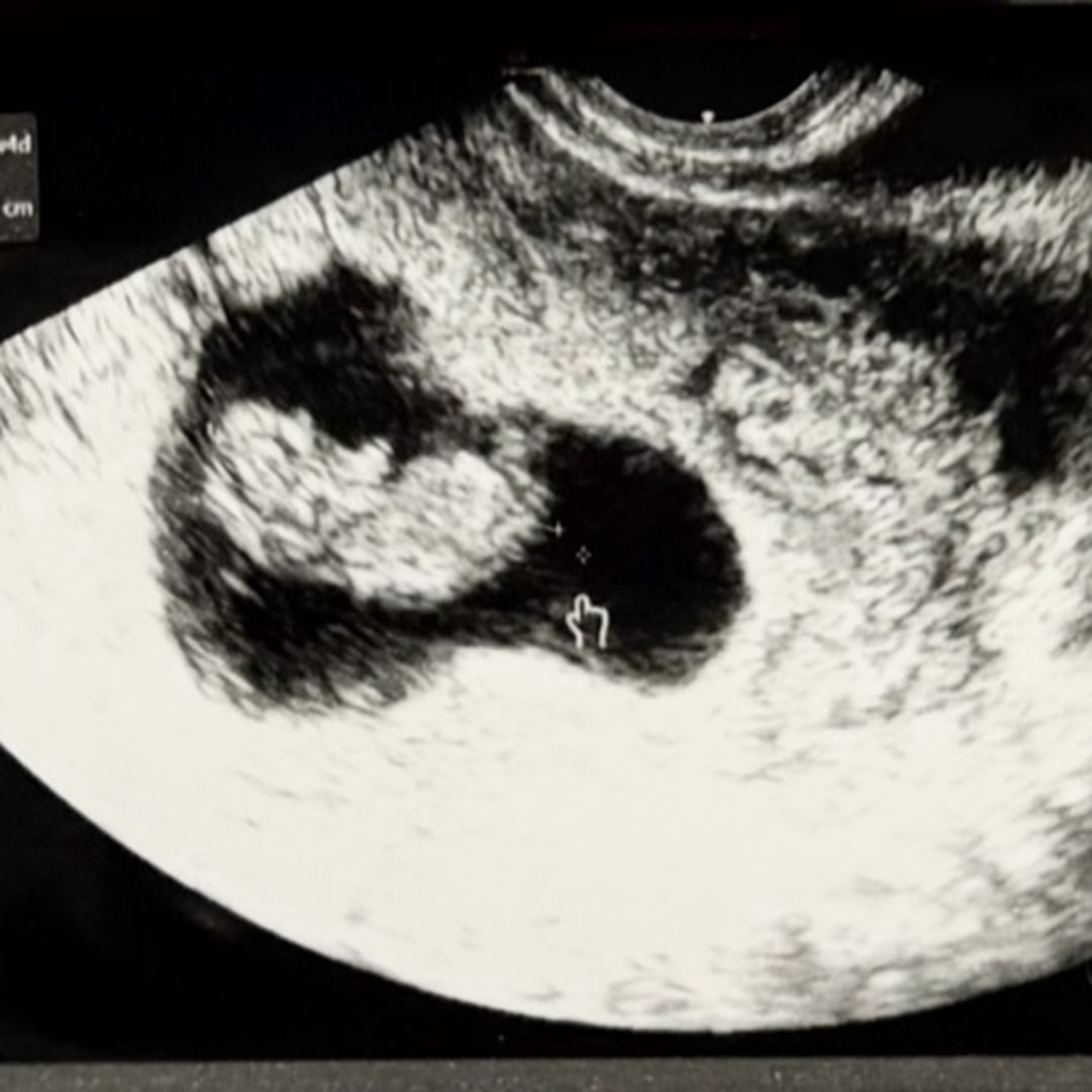 Photo shared by Eduardo for their Babylist baby registry.