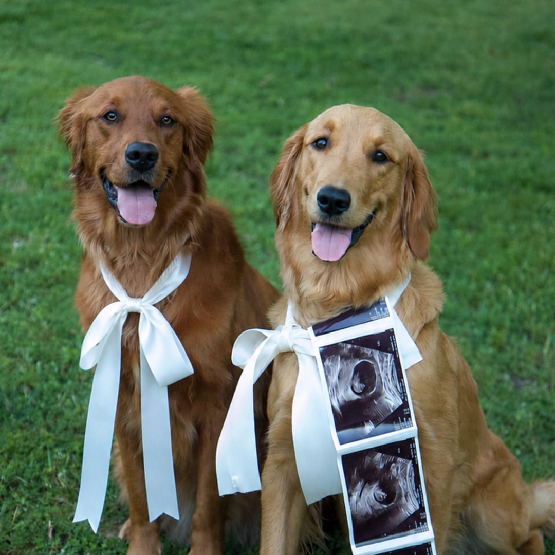 Photo shared by Emma for their Babylist baby registry.