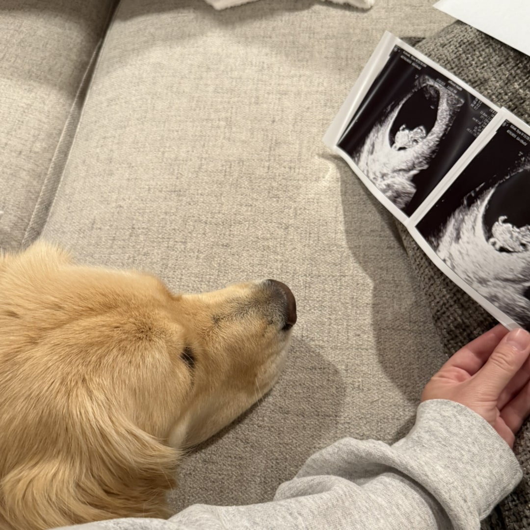 Photo shared by Elysa for their Babylist baby registry.