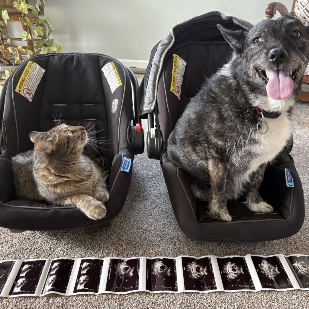 Photo shared by Meghan for their Babylist baby registry.