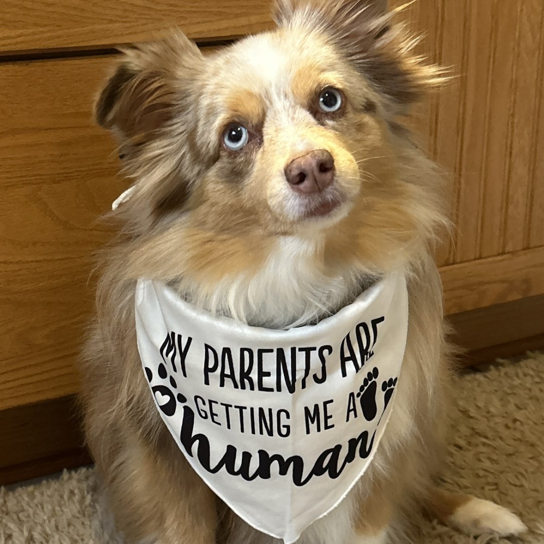 Photo shared by Breana for their Babylist baby registry.