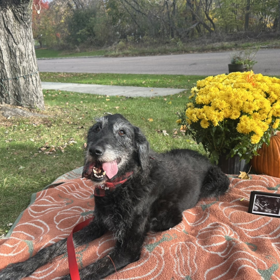 Photo shared by Kelly for their Babylist baby registry.