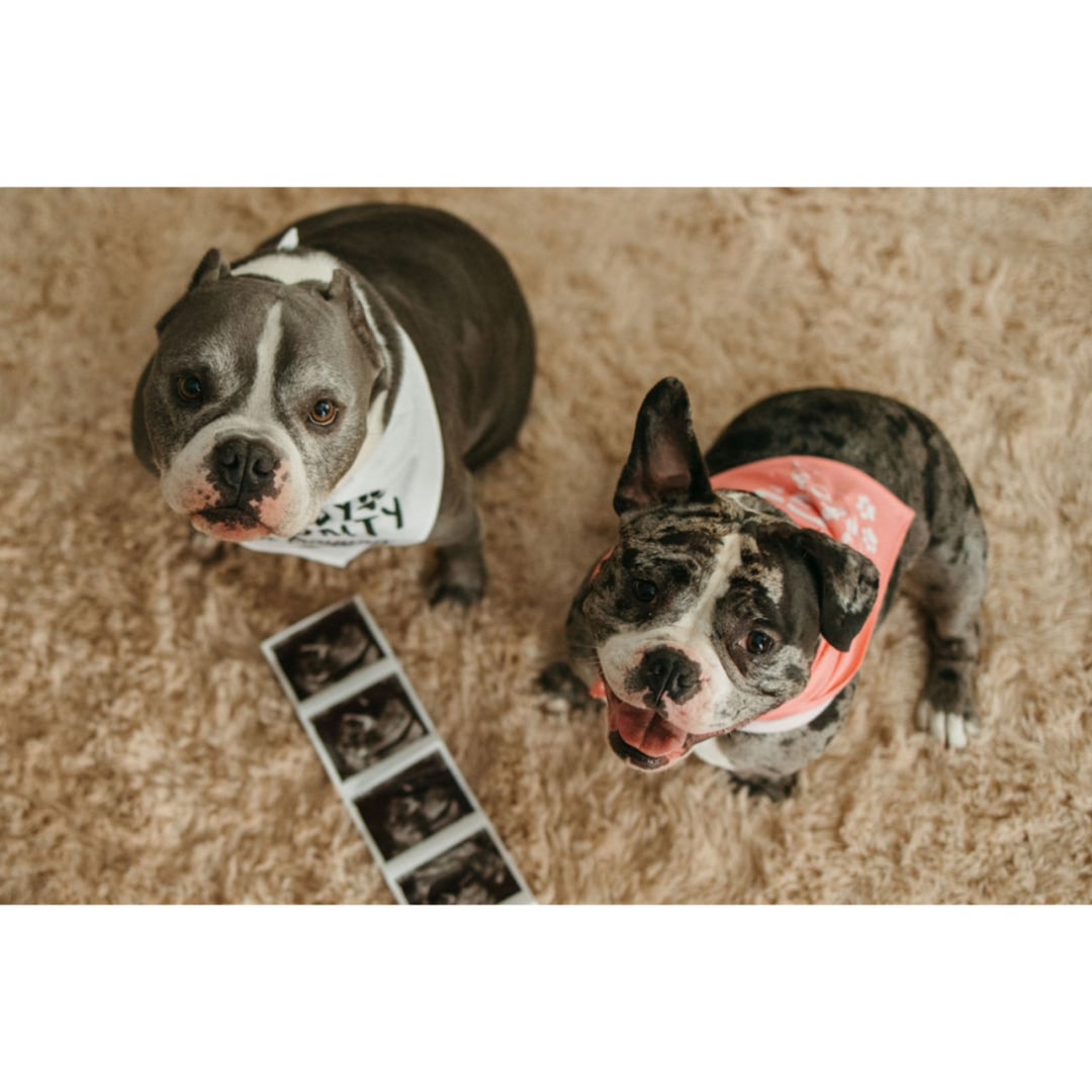 Photo shared by Megan for their Babylist baby registry.