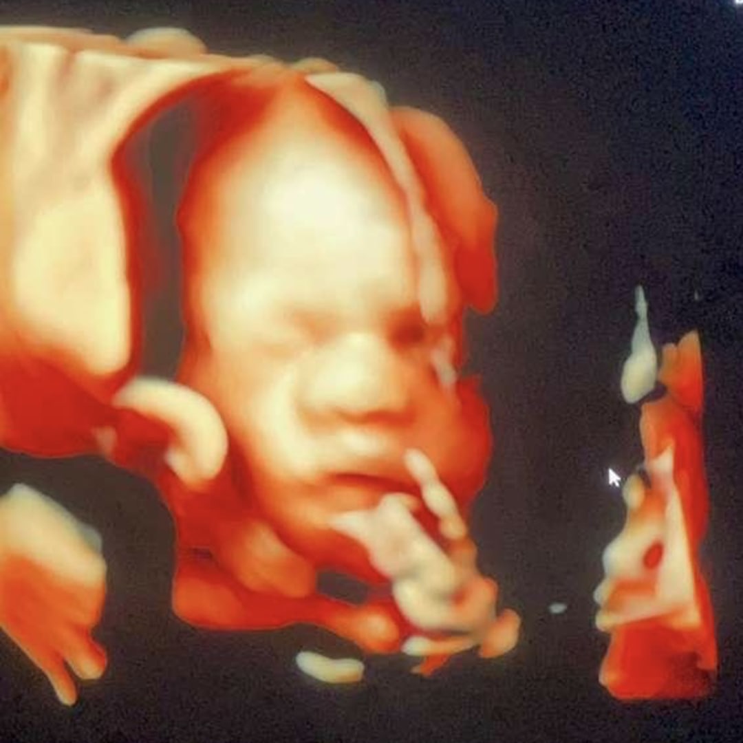 Photo shared by Kimberly for their Babylist baby registry.