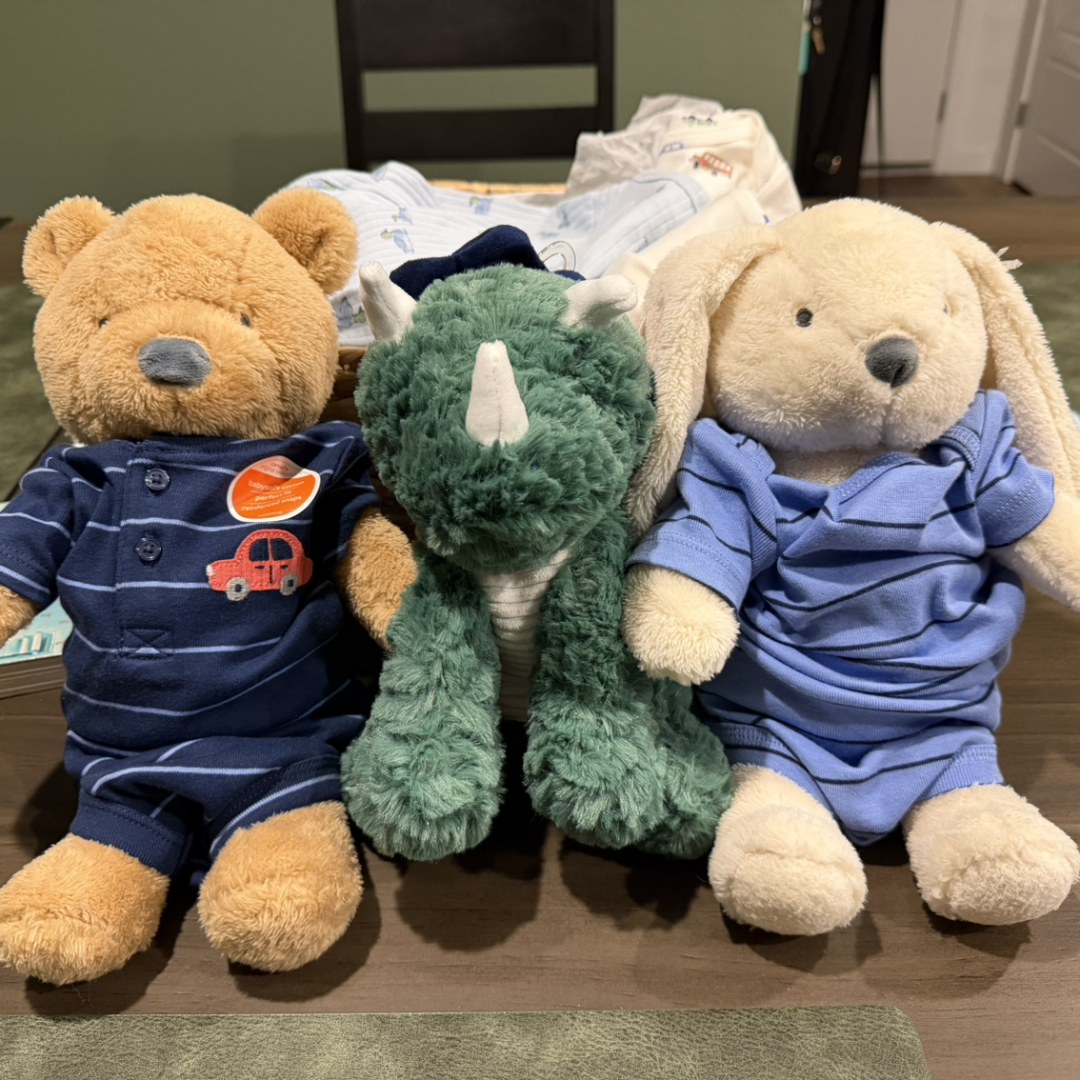 Photo shared by Christina for their Babylist baby registry.