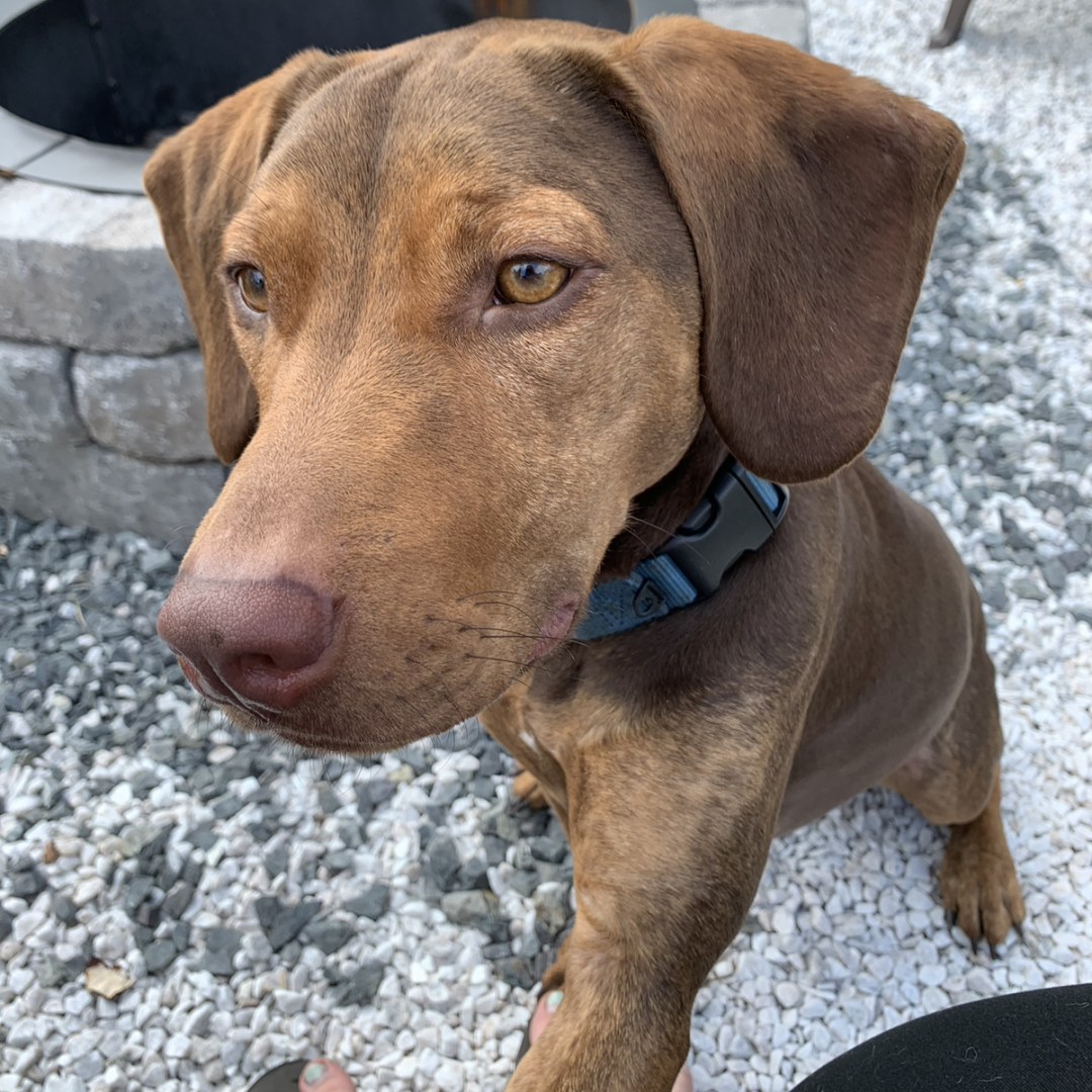 Photo shared by Jessica for their Babylist baby registry.