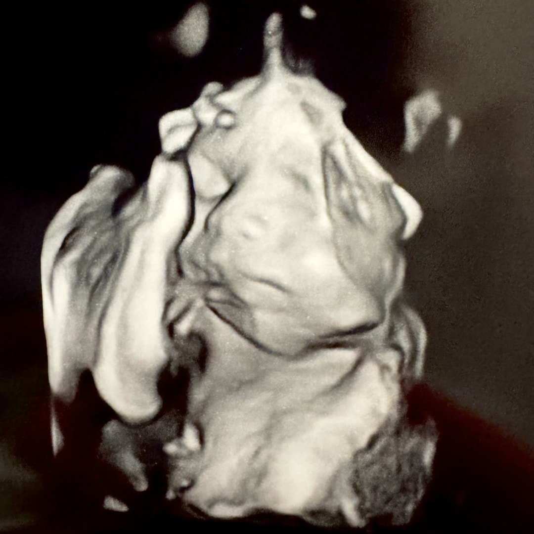 Photo shared by Julianne for their Babylist baby registry.