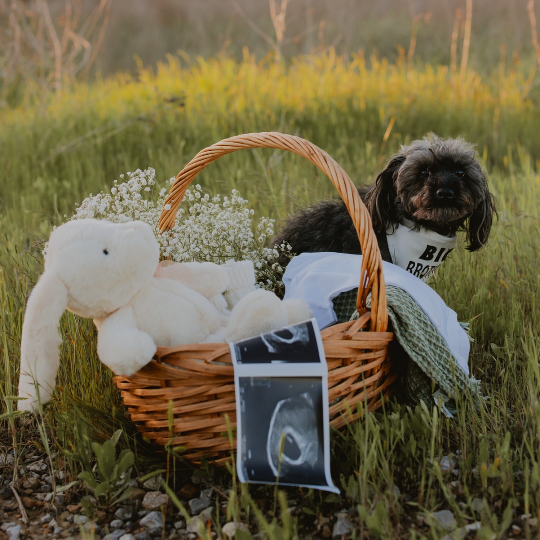 Photo shared by Marissa for their Babylist baby registry.