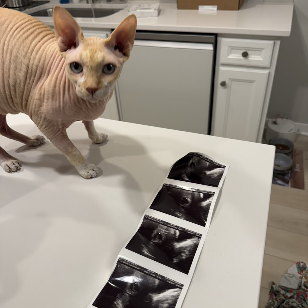 Photo shared by Caleb for their Babylist baby registry.