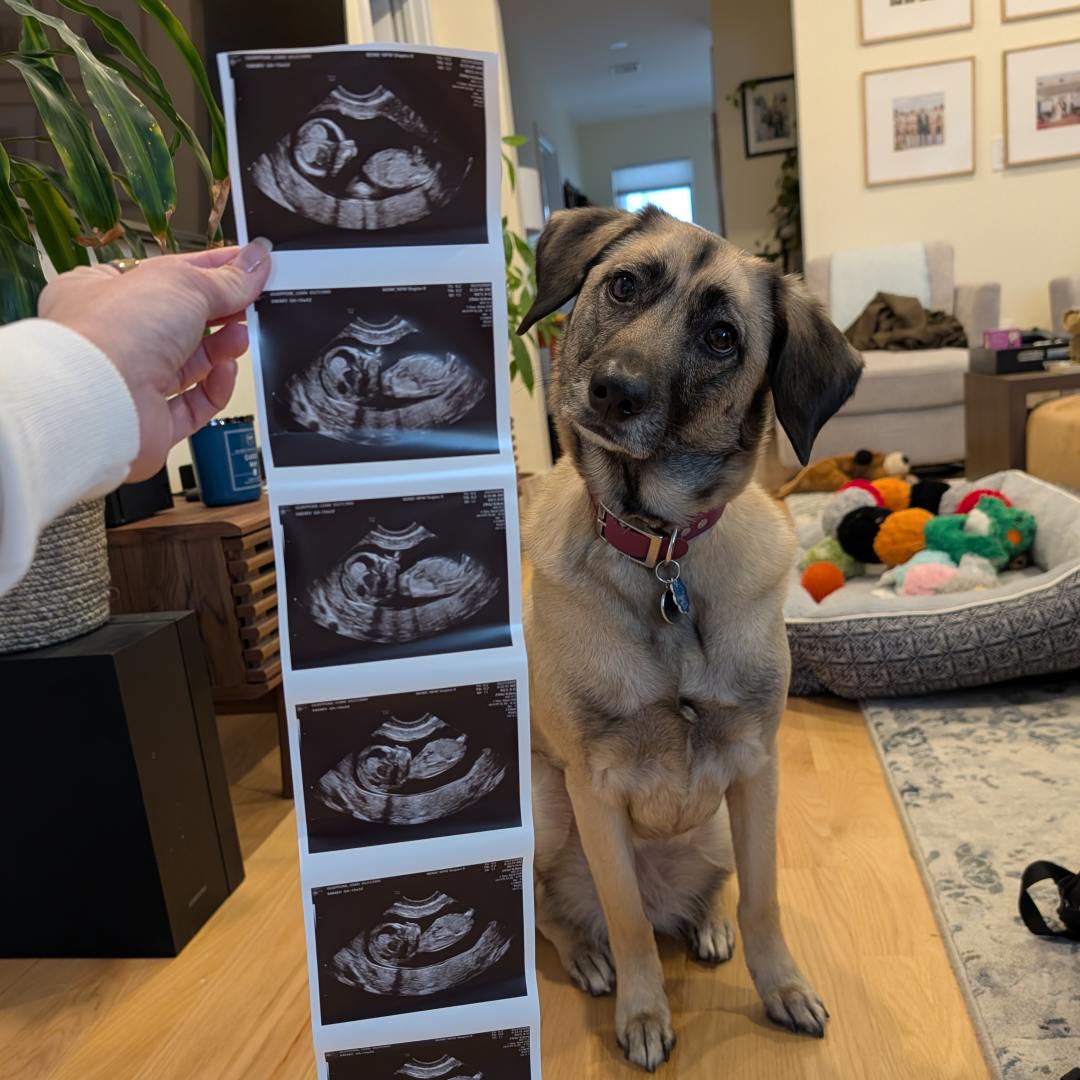 Photo shared by Loan for their Babylist baby registry.