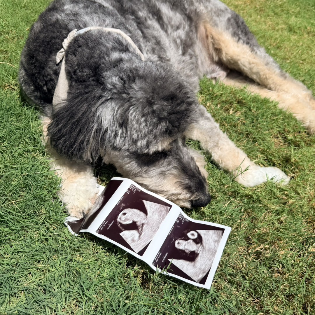 Photo shared by Brooklyn for their Babylist baby registry.