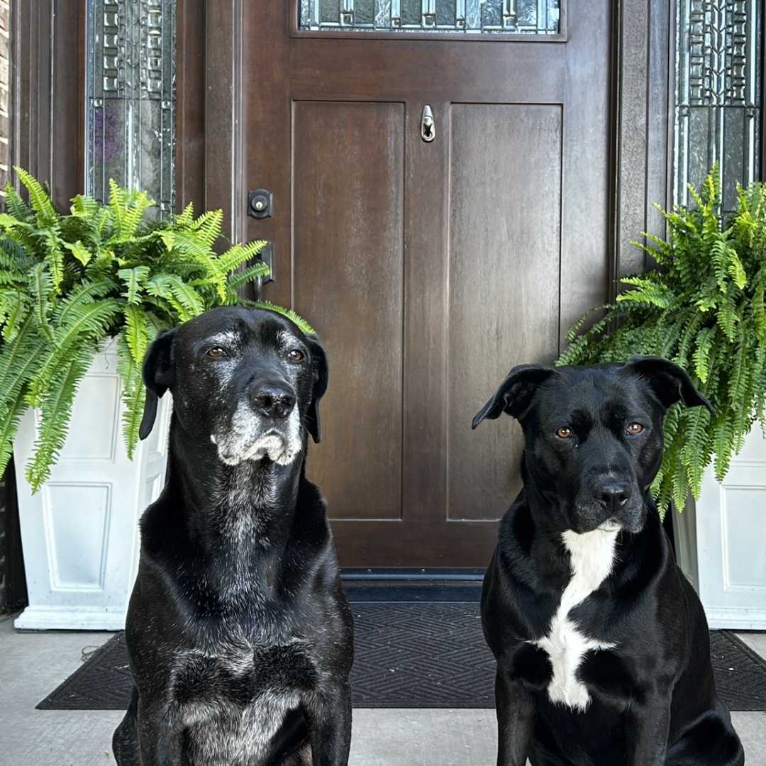 Photo shared by Nina for their Babylist baby registry.