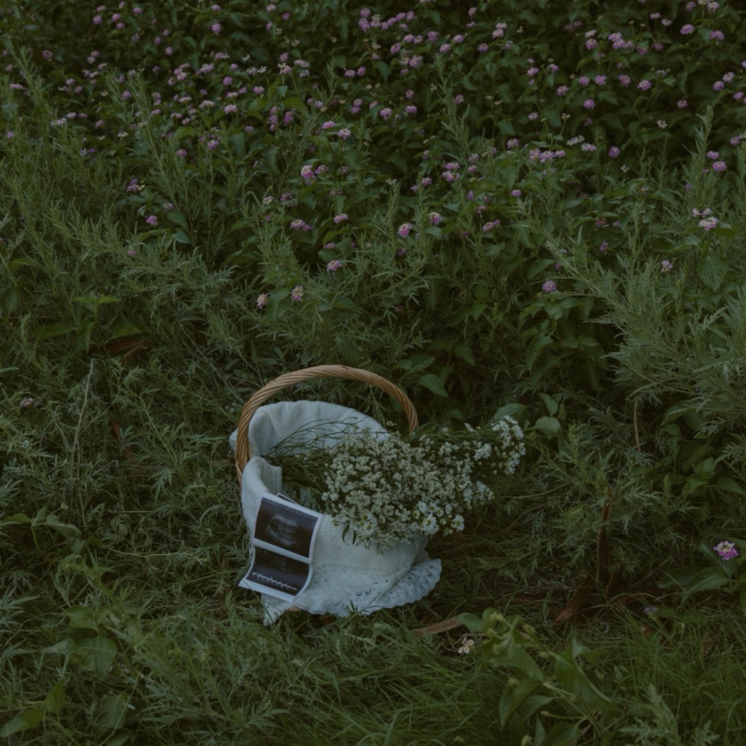 Photo shared by Kayla for their Babylist baby registry.