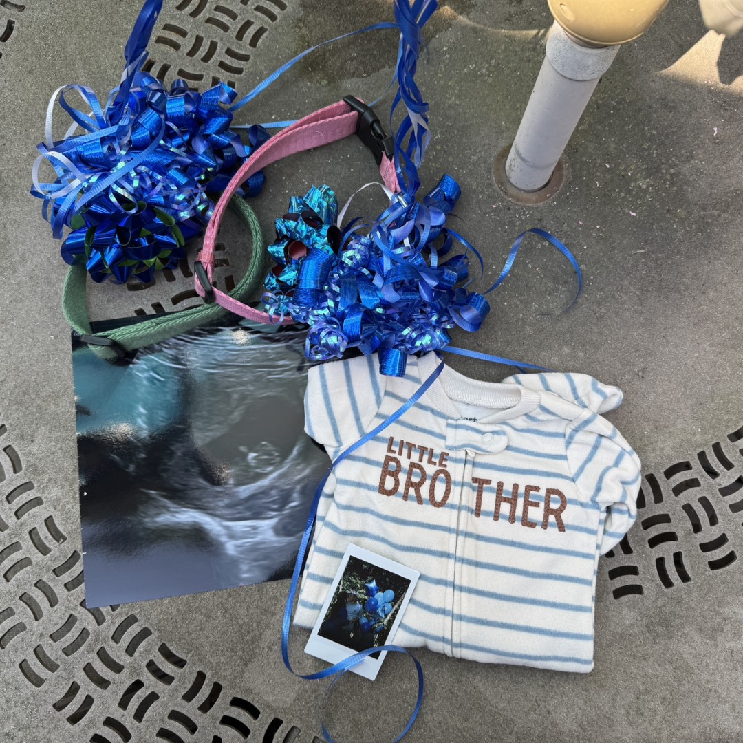Photo shared by Anna for their Babylist baby registry.