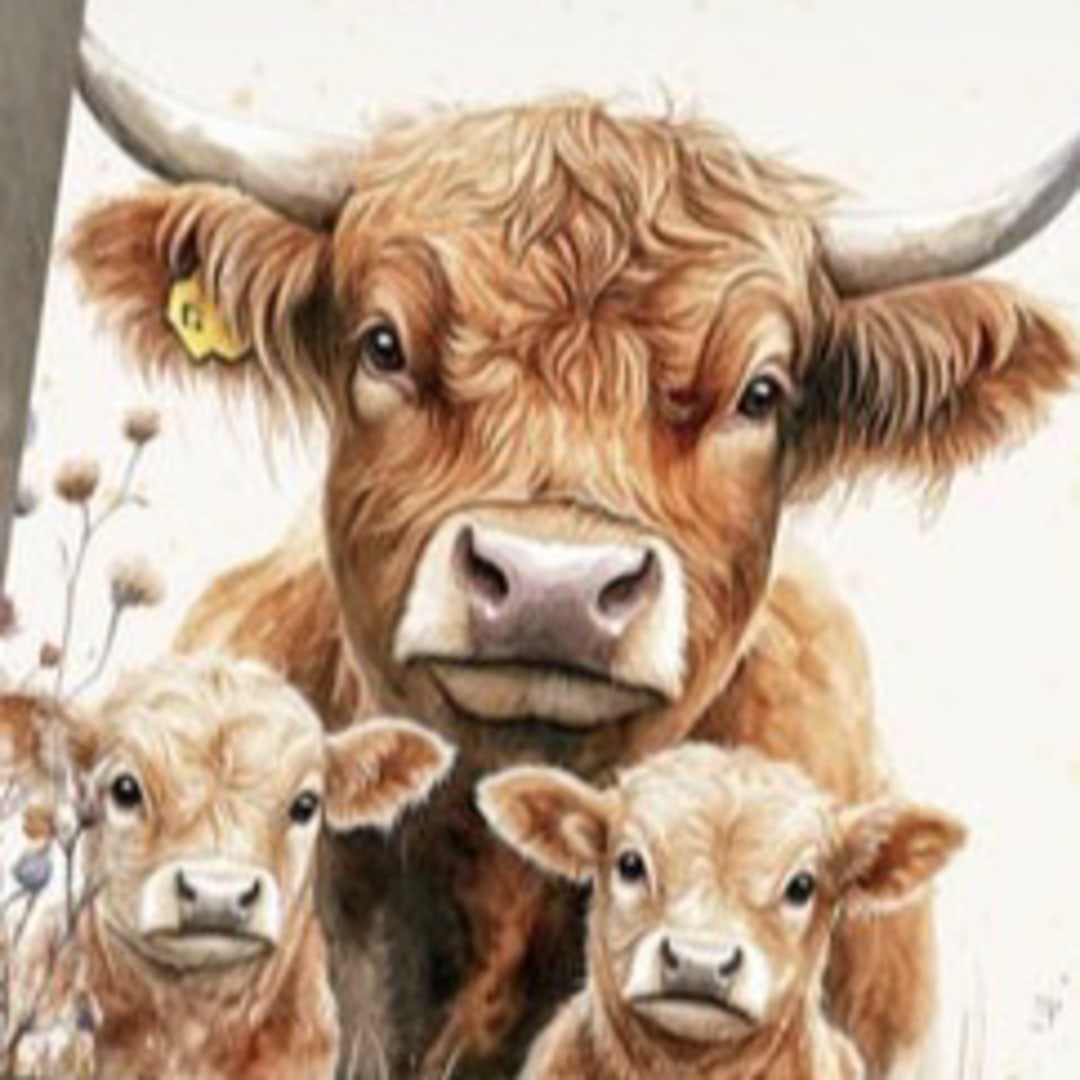 Photo shared by Alexandria for their Babylist baby registry.