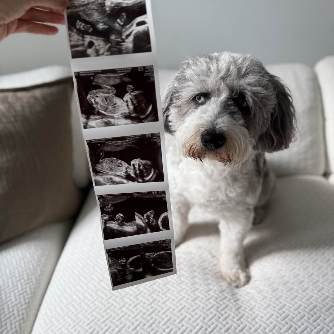 Photo shared by Britney for their Babylist baby registry.