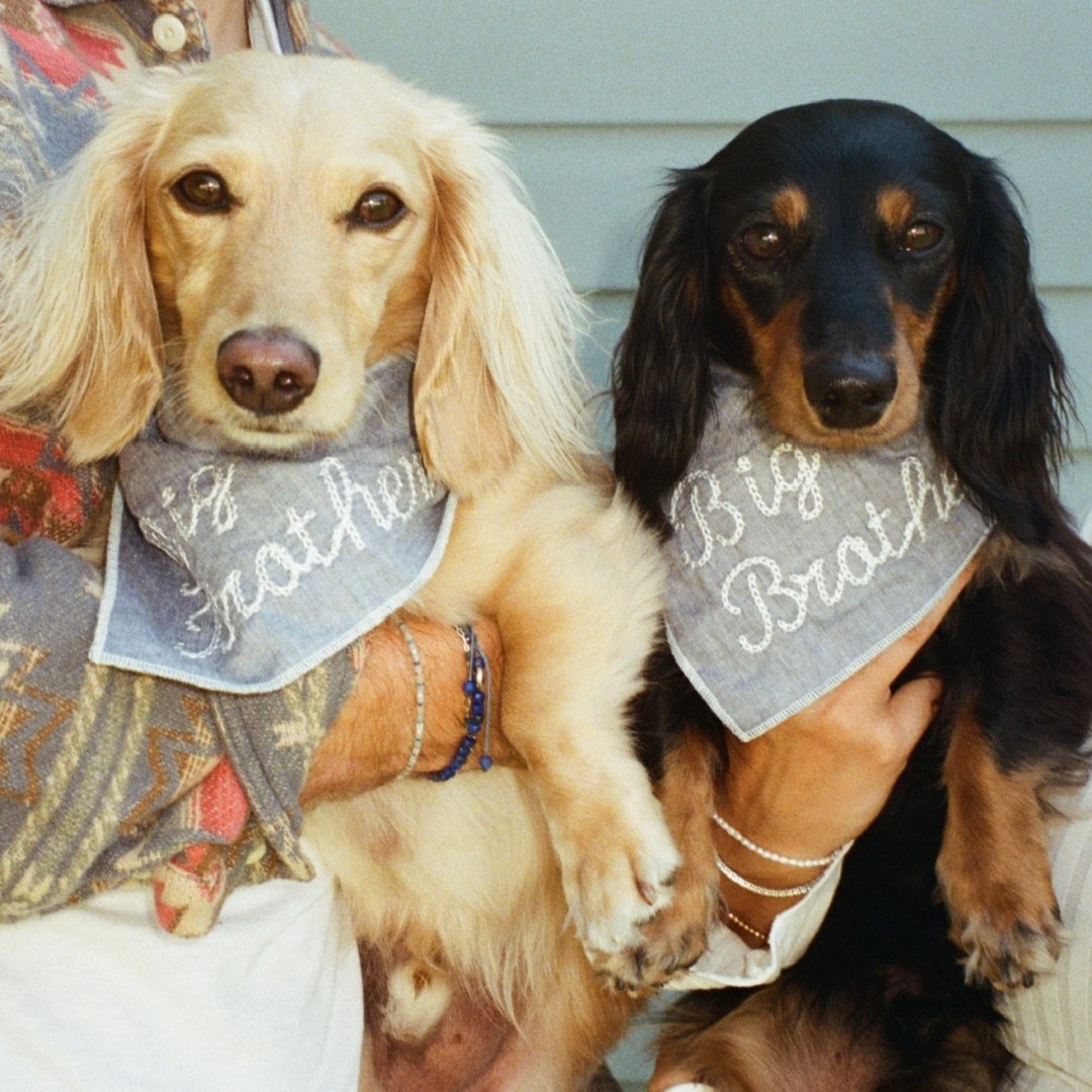 Photo shared by Didi for their Babylist baby registry.