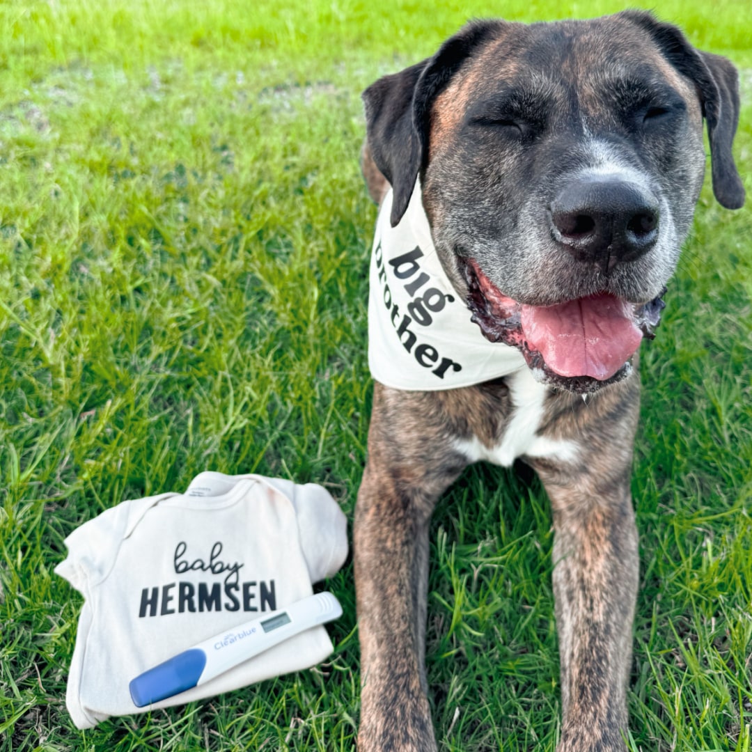 Photo shared by Missy for their Babylist baby registry.