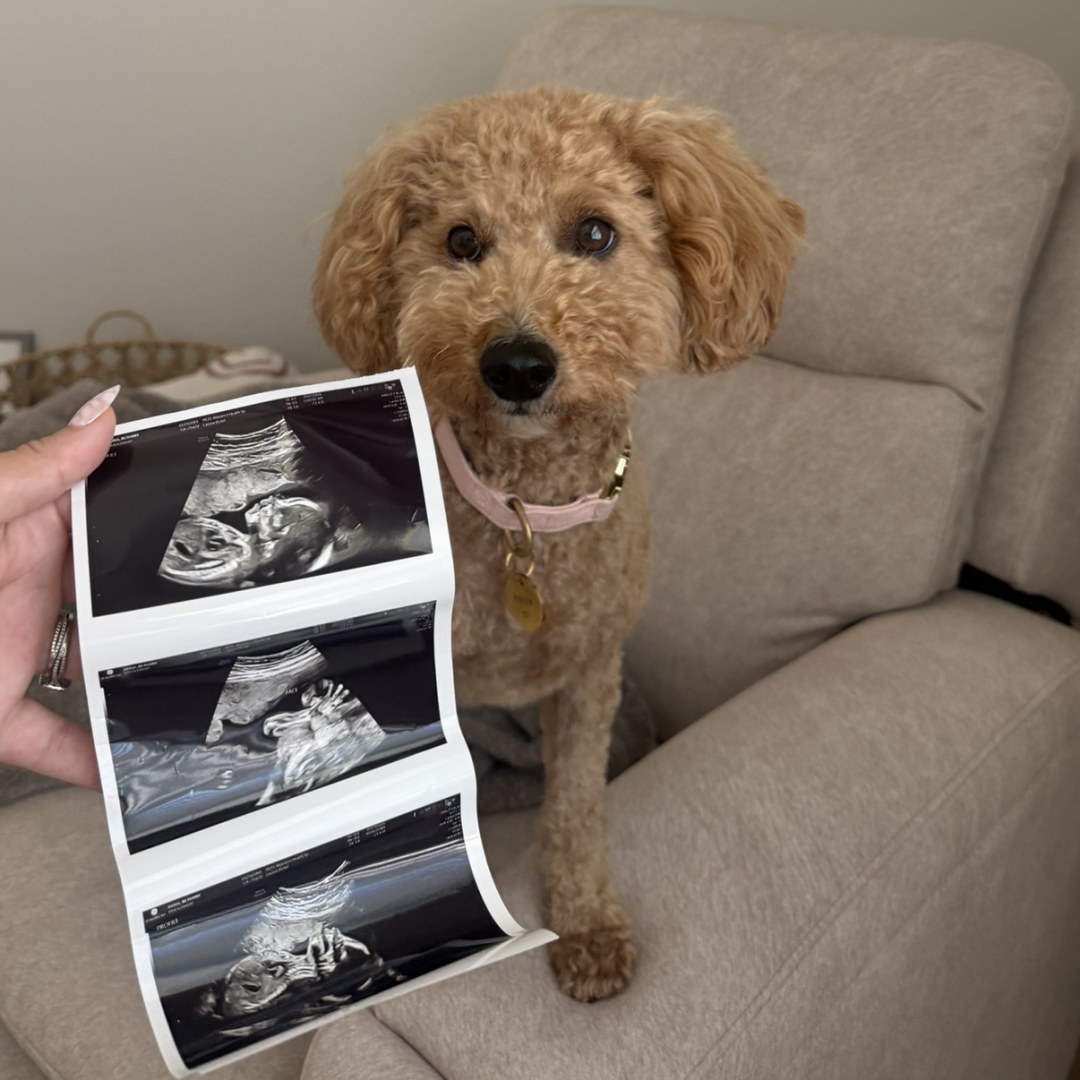Photo shared by Bethany for their Babylist baby registry.