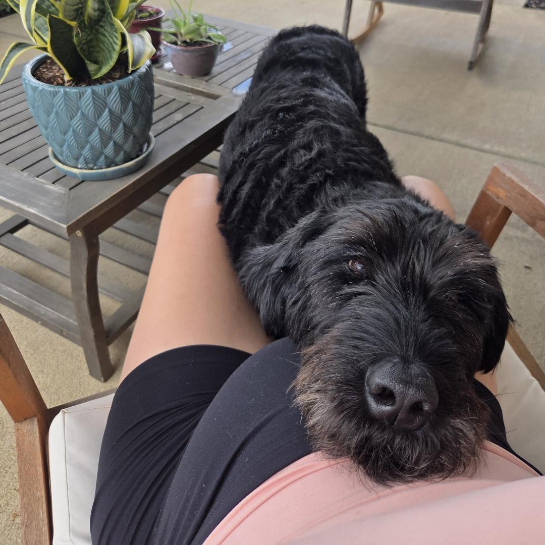 Photo shared by Amber for their Babylist baby registry.