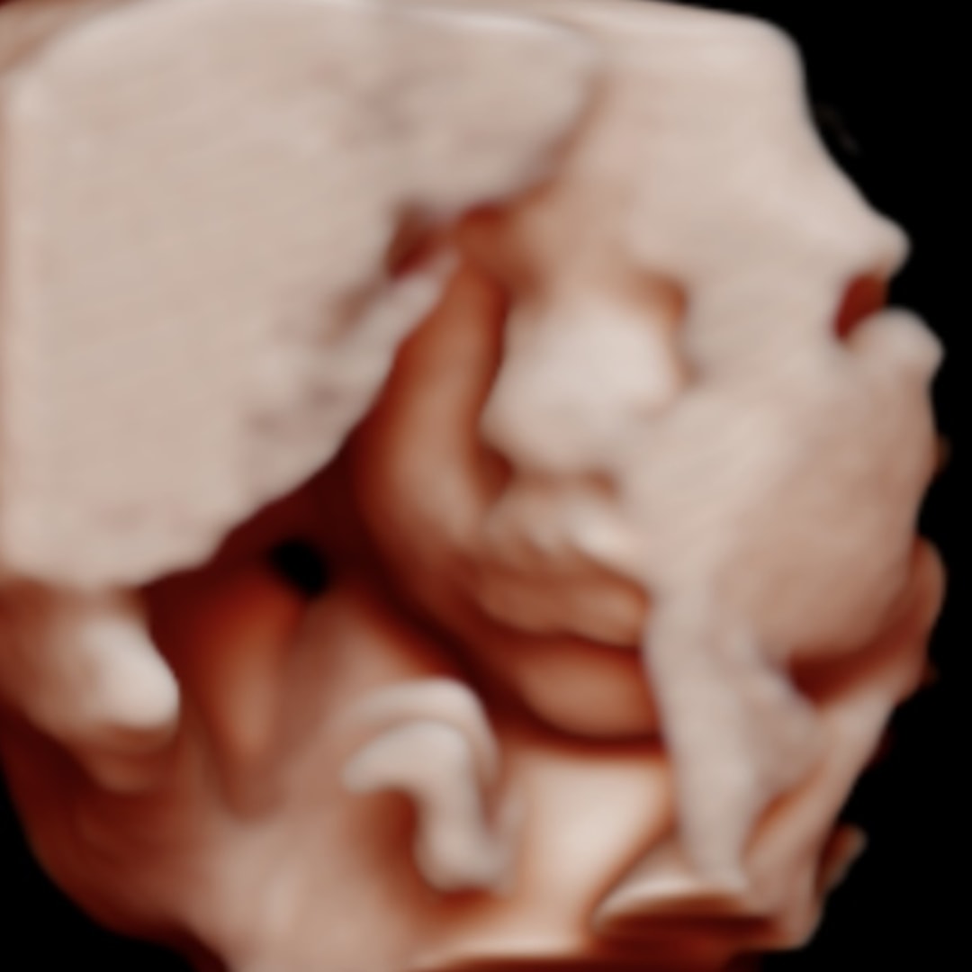 Photo shared by Elisha for their Babylist baby registry.