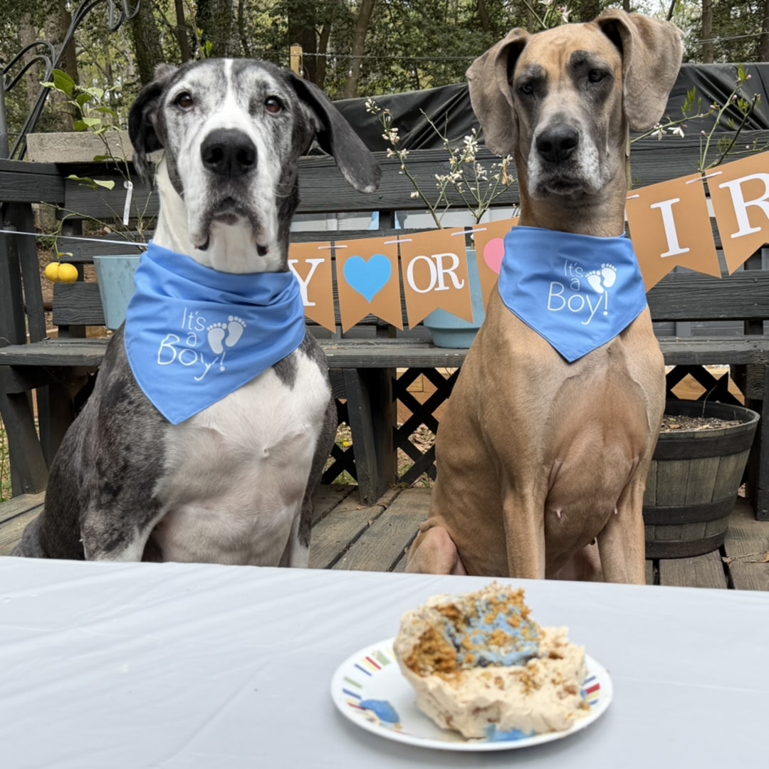 Photo shared by Jessica for their Babylist baby registry.