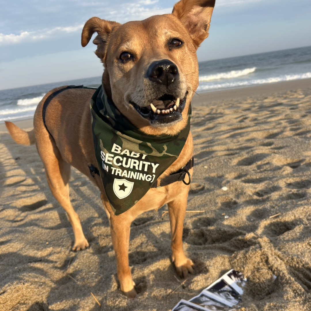 Photo shared by Gianna for their Babylist baby registry.