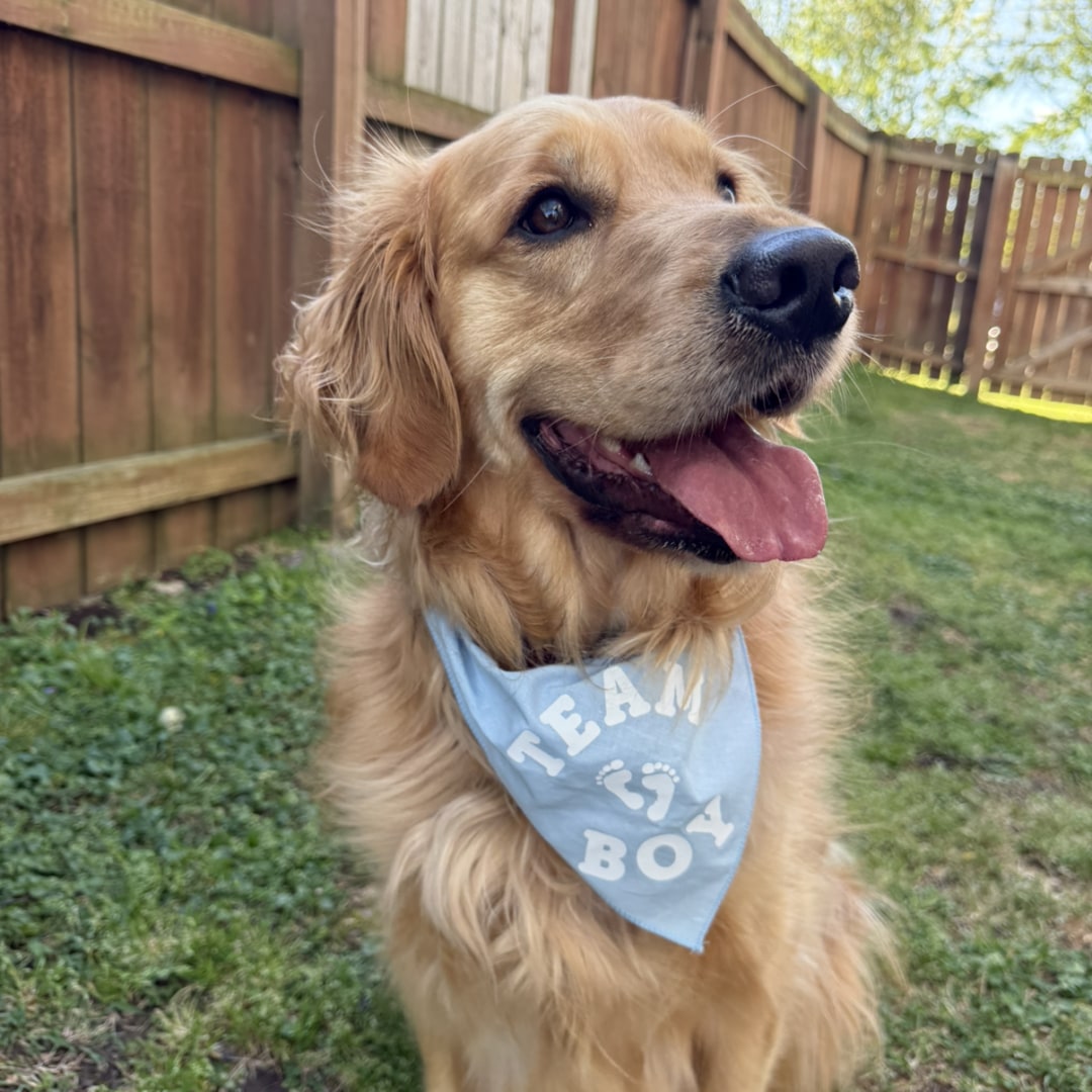 Photo shared by Alex for their Babylist baby registry.