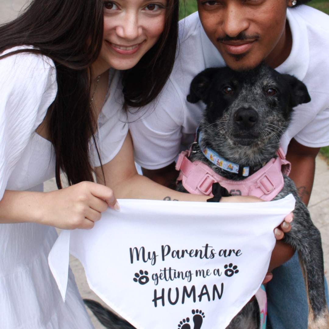Photo shared by Hannah for their Babylist baby registry.