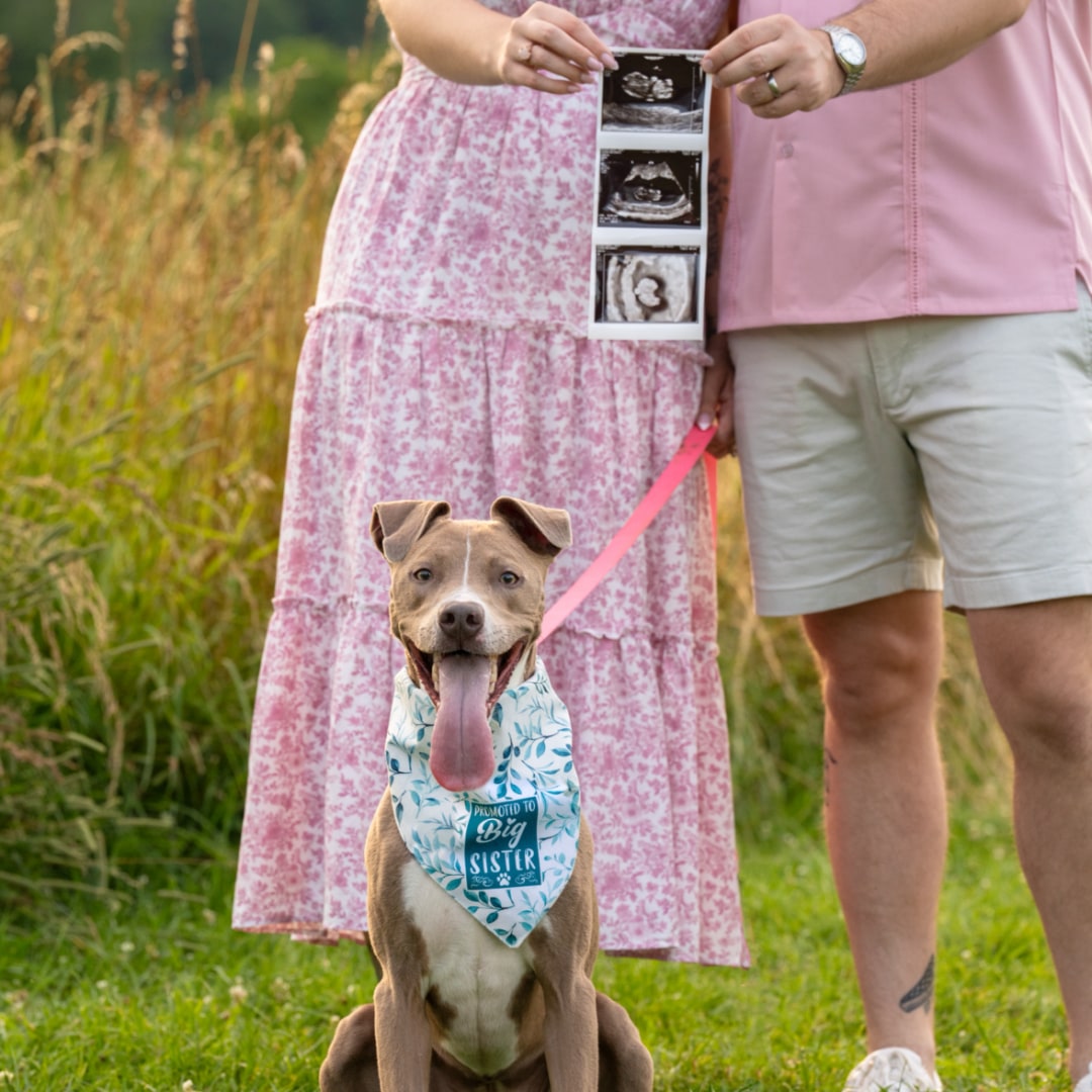 Photo shared by Janelle for their Babylist baby registry.