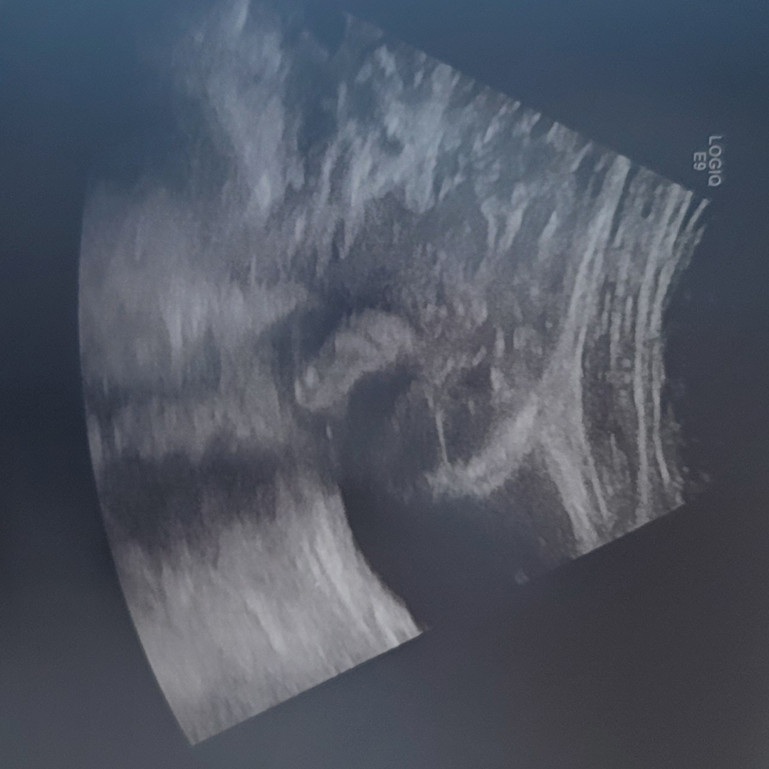 Photo shared by Cinthya for their Babylist baby registry.