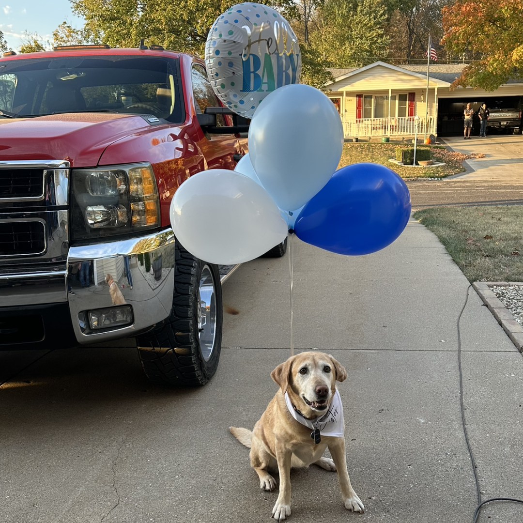 Photo shared by Clara for their Babylist baby registry.