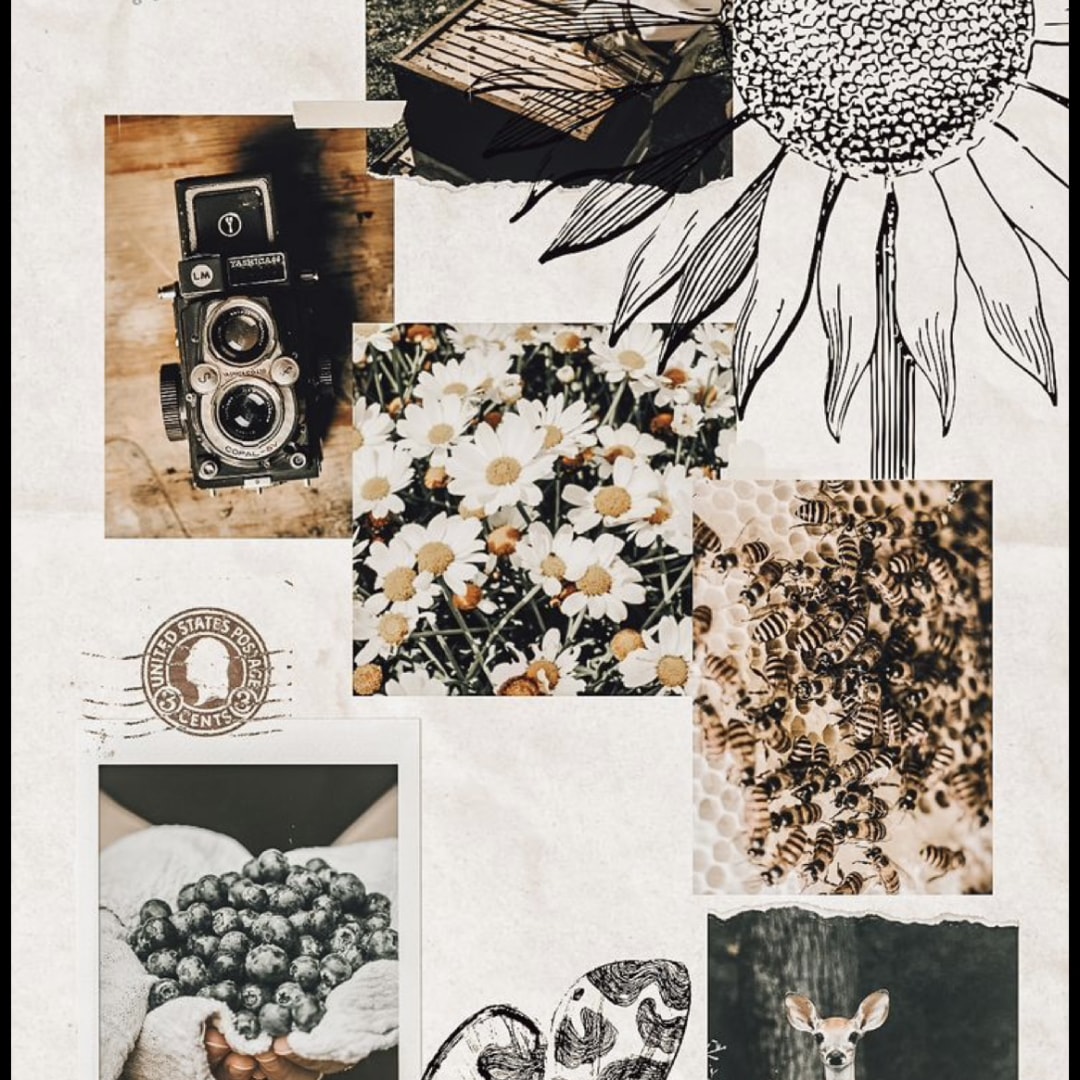 Photo shared by Allesandra for their Babylist baby registry.