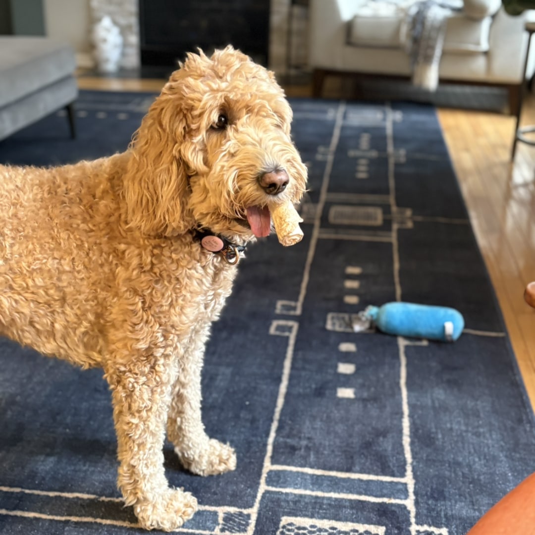 Photo shared by Courtney for their Babylist baby registry.