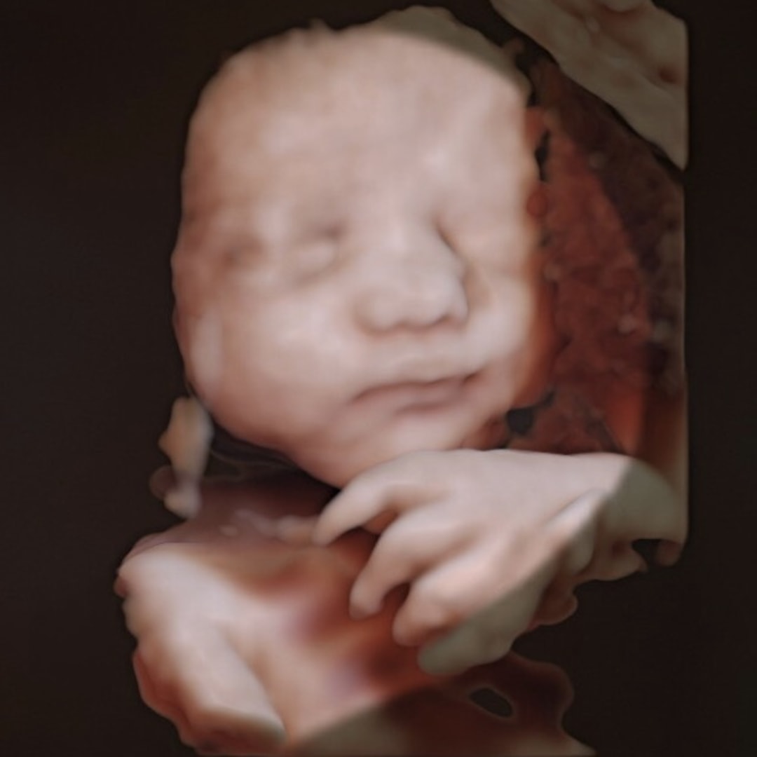Photo shared by Angelina for their Babylist baby registry.