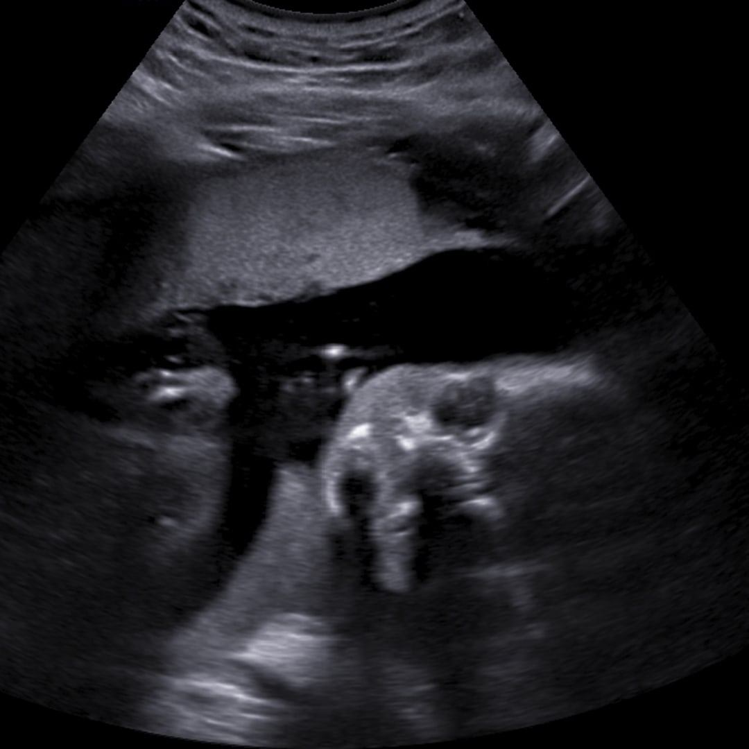 Photo shared by 𝑲𝒚𝒓𝒂 for their Babylist baby registry.