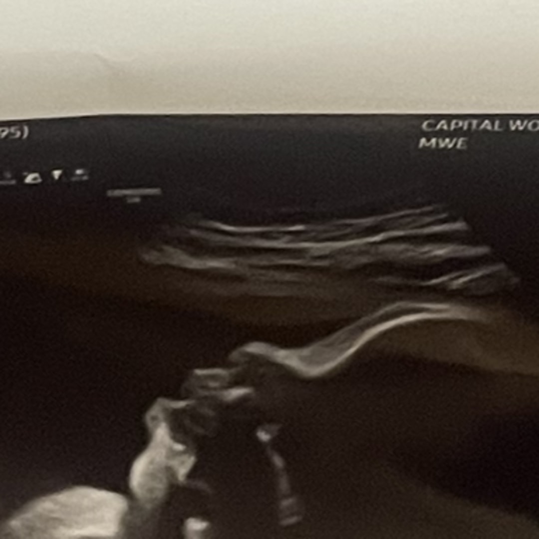 Photo shared by Ladaje for their Babylist baby registry.