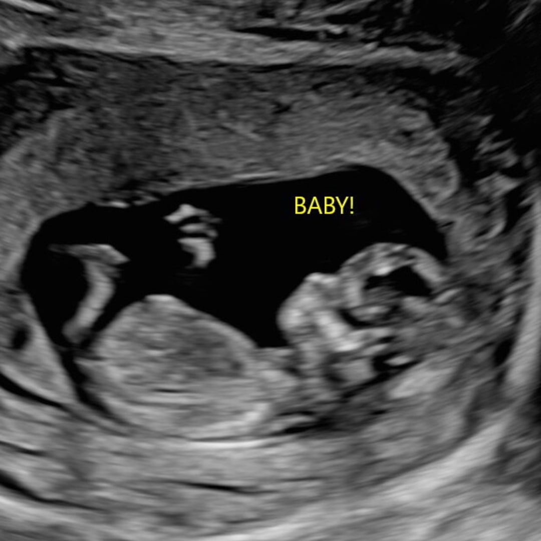 Photo shared by Arial for their Babylist baby registry.
