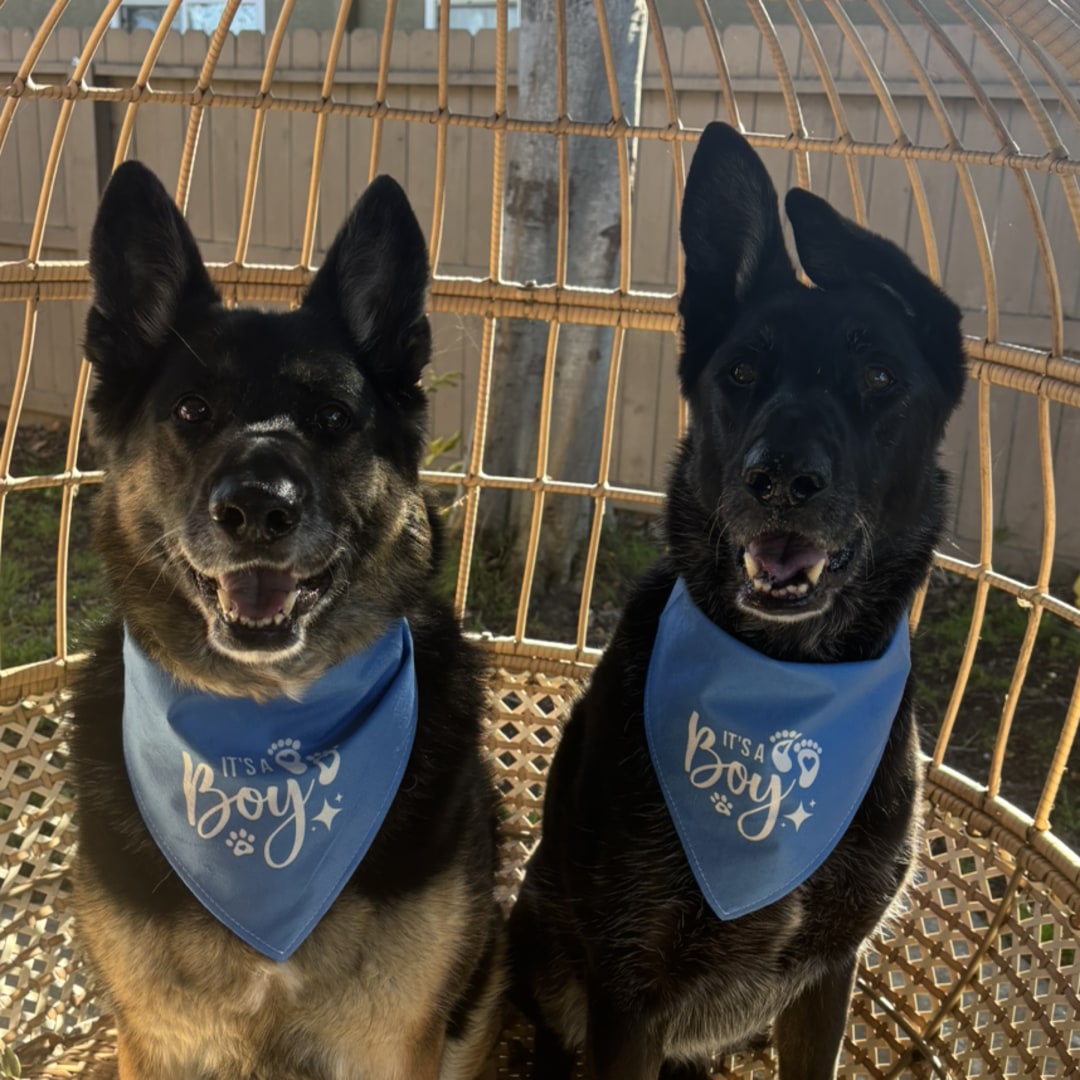 Photo shared by Kenya for their Babylist baby registry.