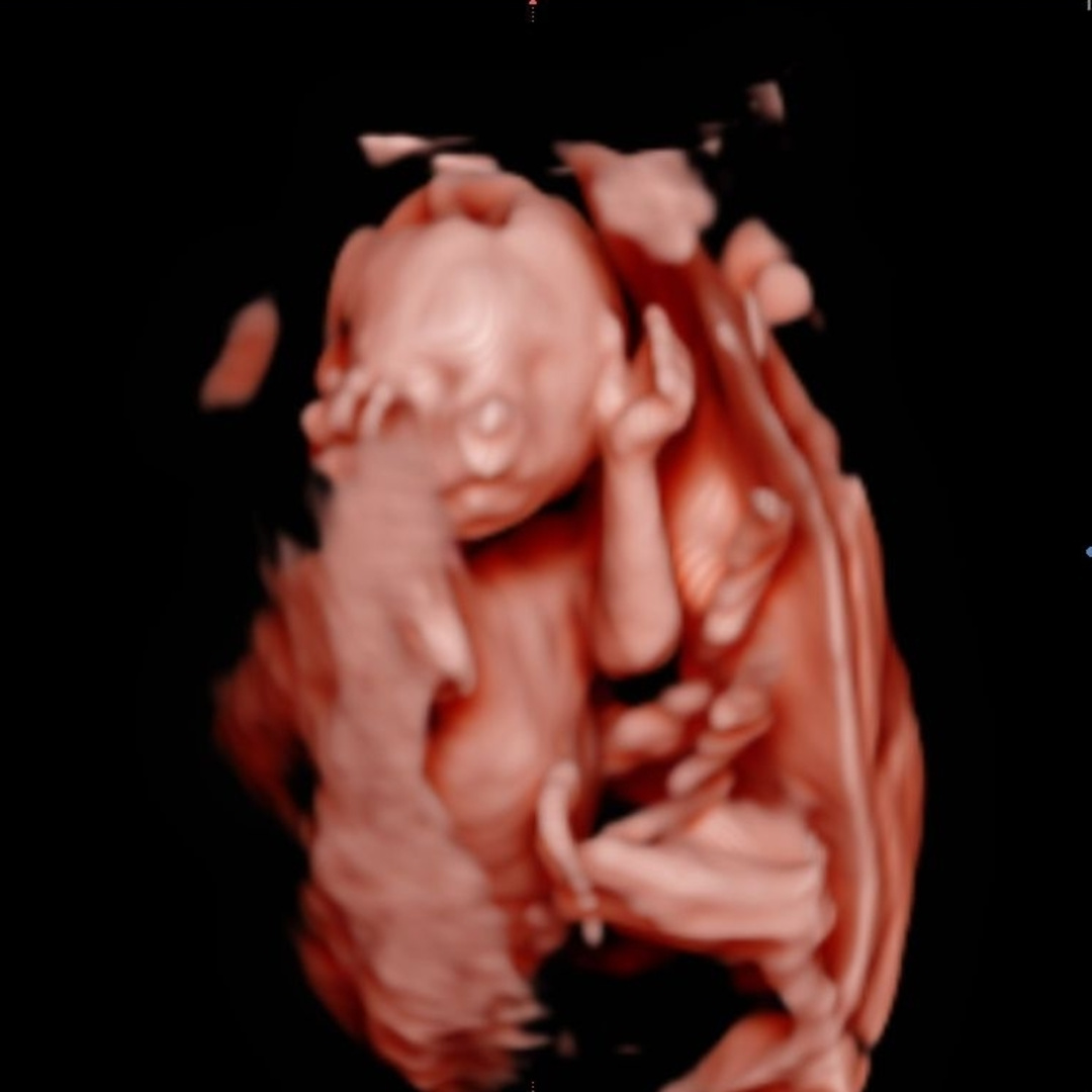 Photo shared by Erica for their Babylist baby registry.