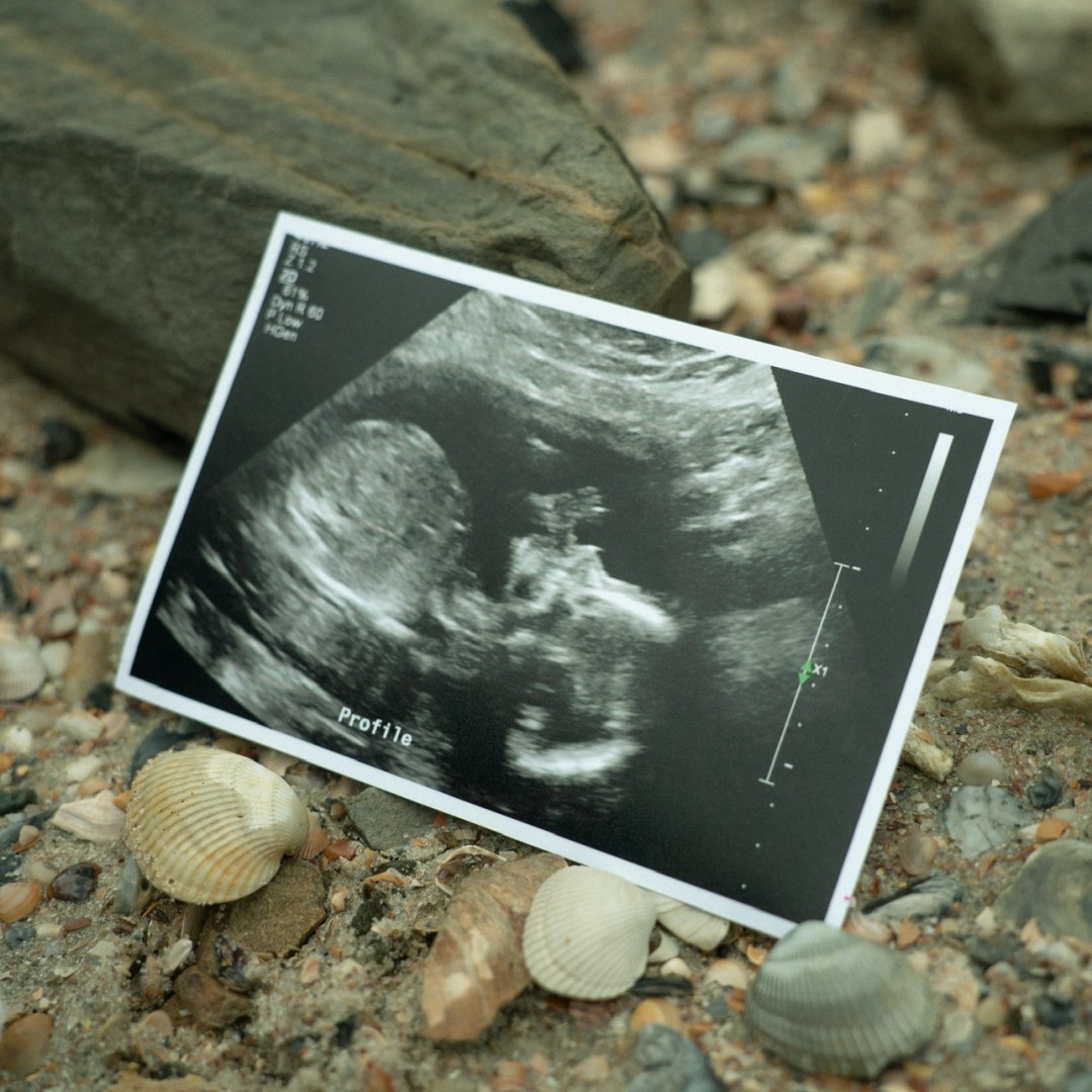 Photo shared by Jen for their Babylist baby registry.