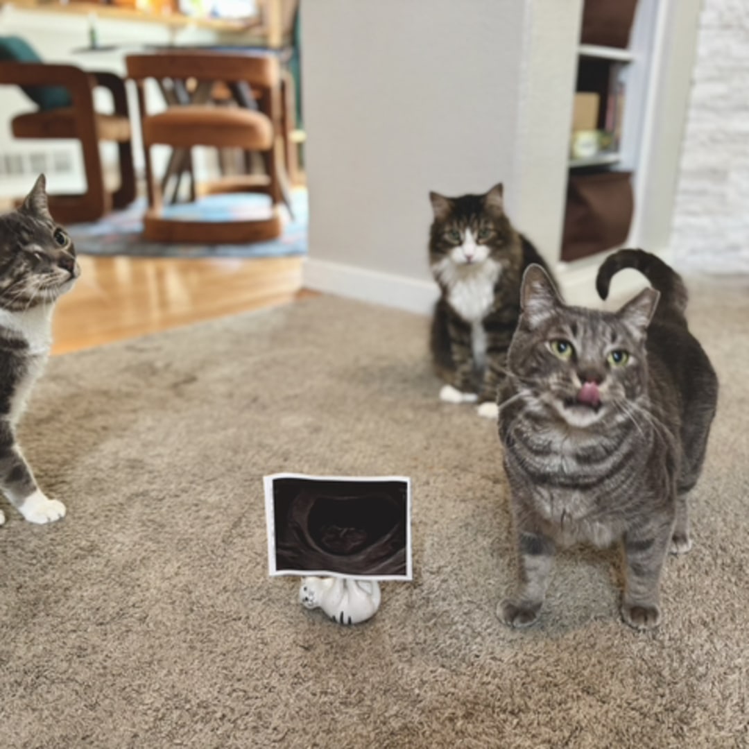 Photo shared by Carissa for their Babylist baby registry.