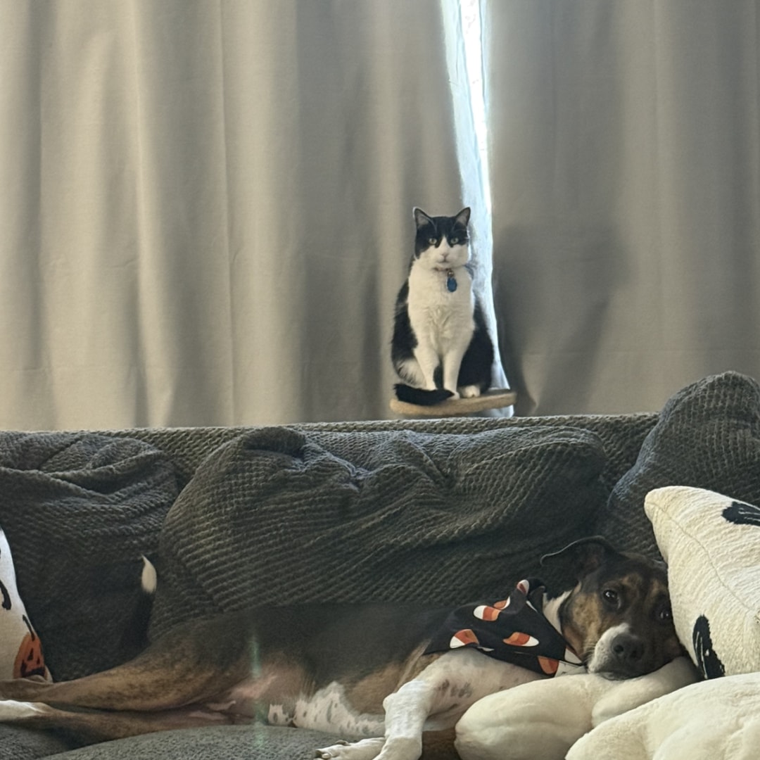 Photo shared by Anne for their Babylist baby registry.