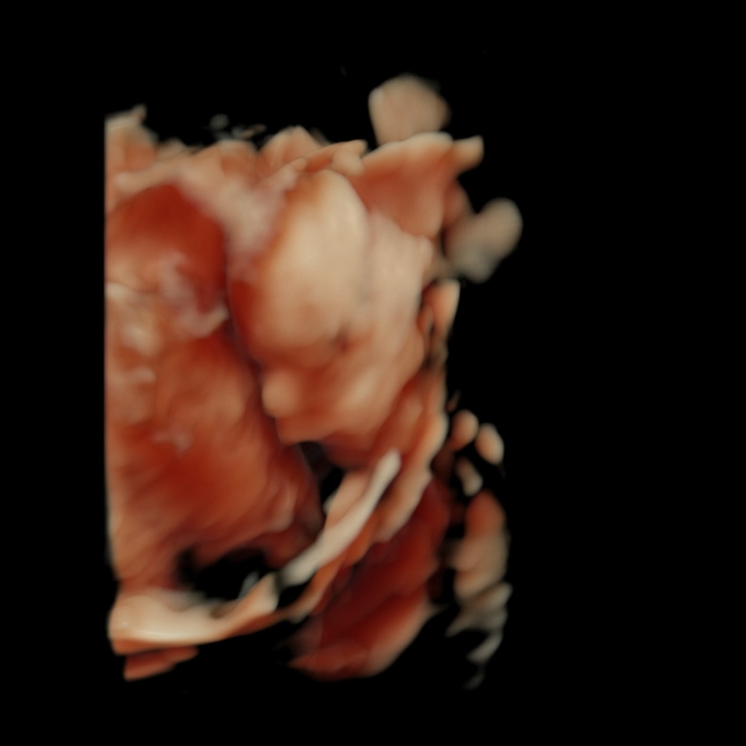 Photo shared by Varonica for their Babylist baby registry.