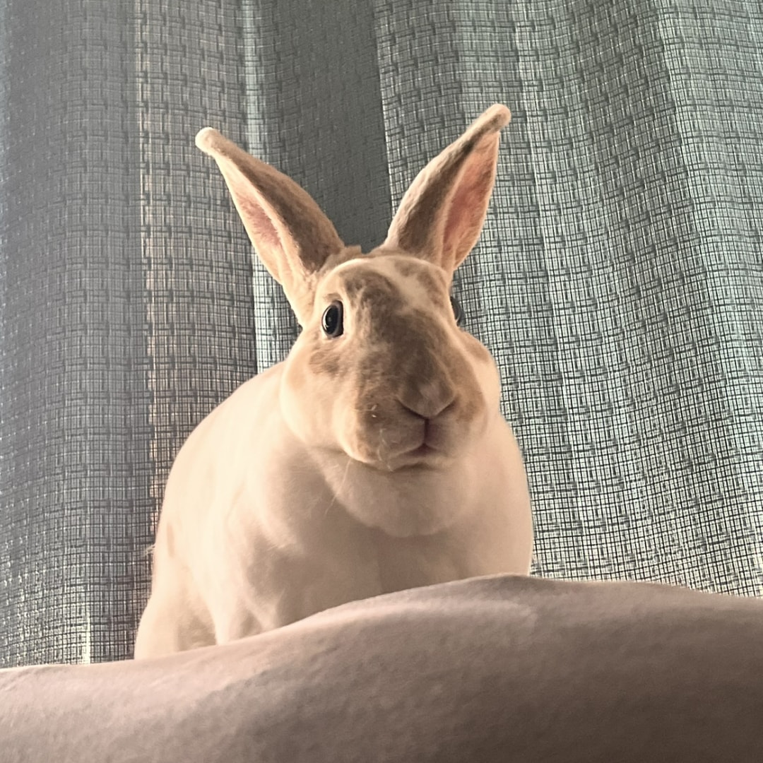 Photo shared by Liliana for their Babylist baby registry.