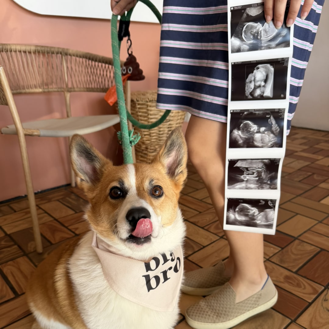 Photo shared by Ashley for their Babylist baby registry.