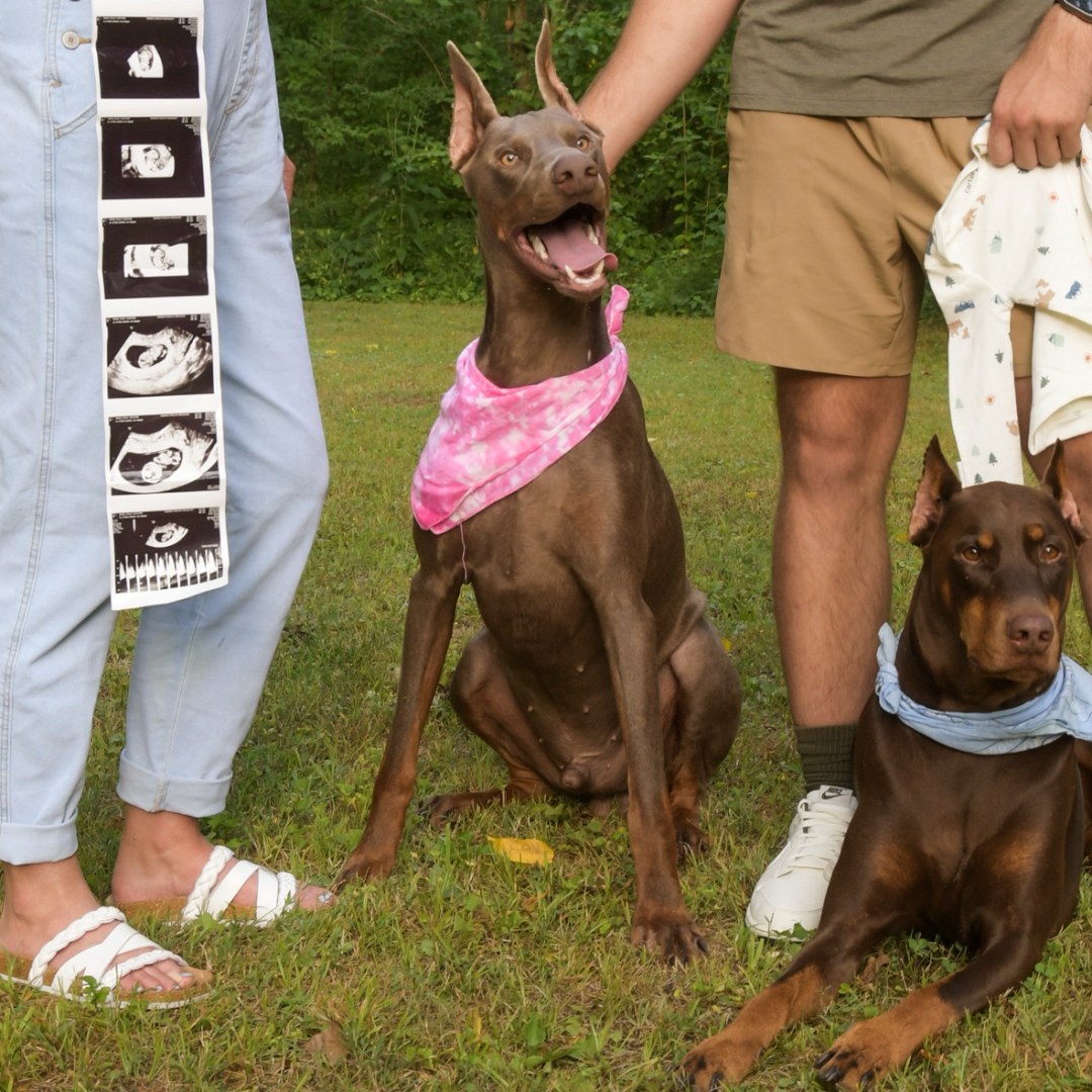 Photo shared by Darian for their Babylist baby registry.
