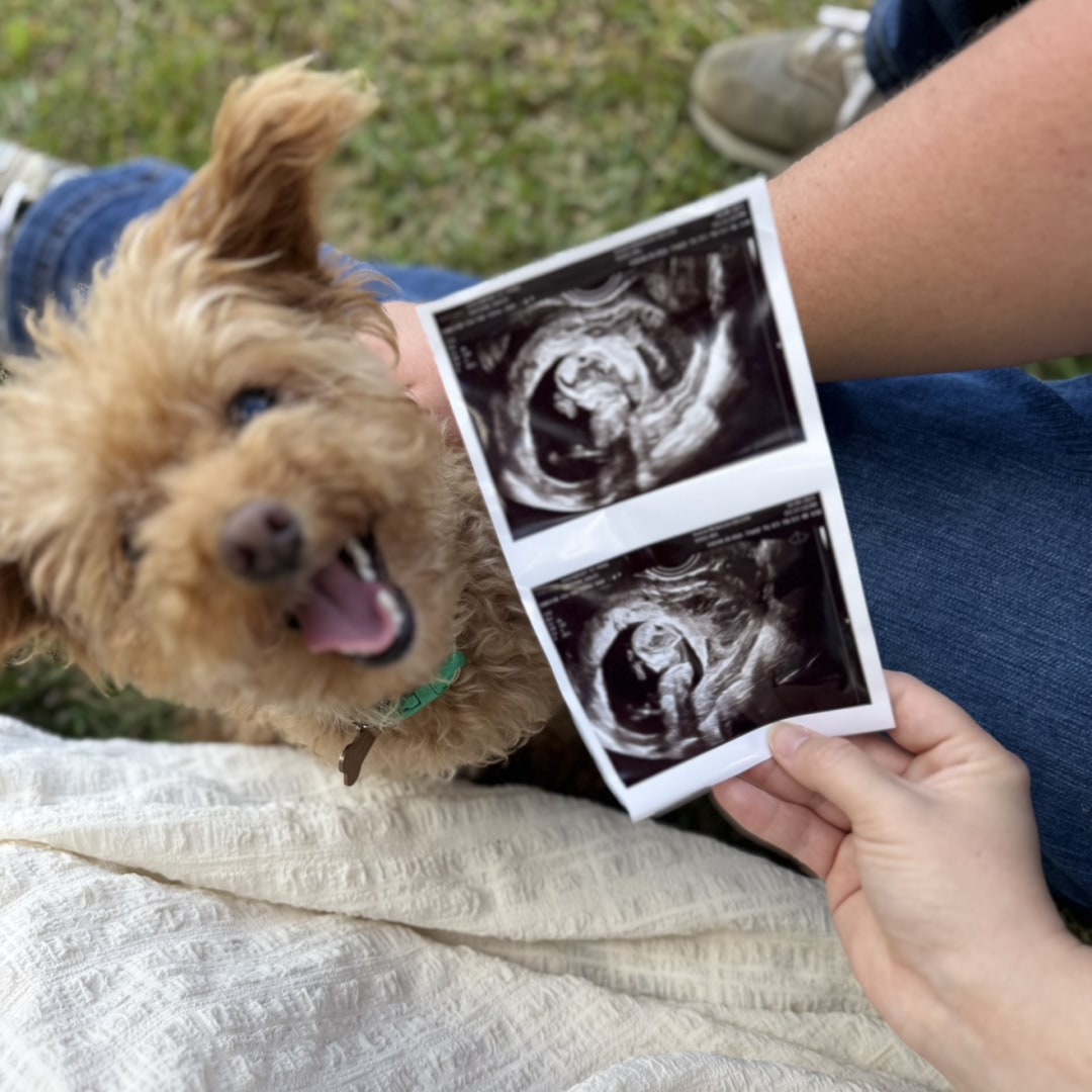 Photo shared by Kalee for their Babylist baby registry.